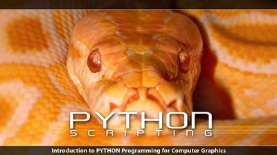 python scripting cgi