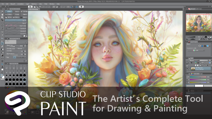 Clip Studio Paint interview graphic software