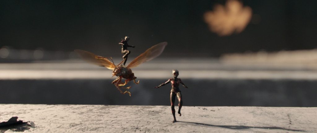 ant man and the wasp together
