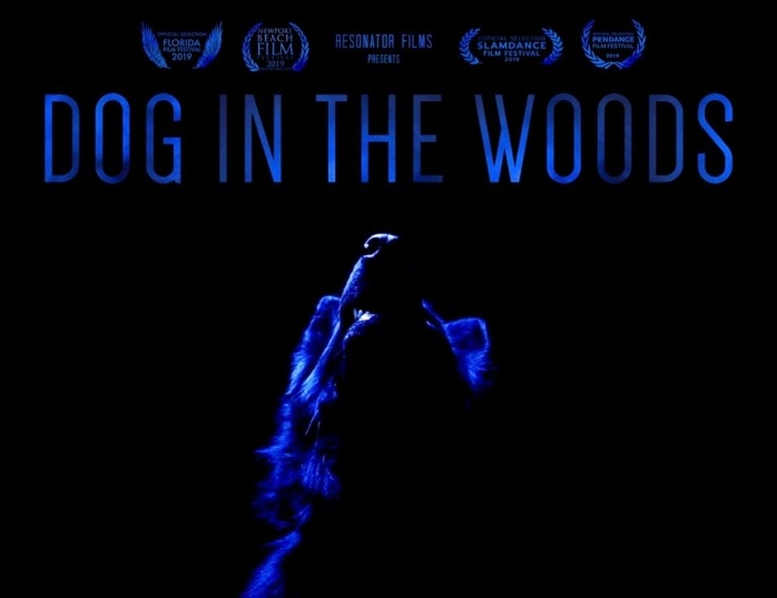 dog in the woods official poster