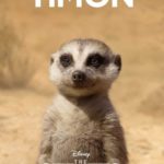 timon character poster Billy Eichner