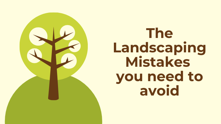 5 Common Landscaping Mistakes You Need to Avoid Now