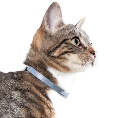 Flea Collar for Cat