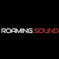 roaming sound logo