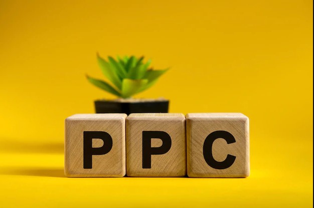 what is ppc campaign
