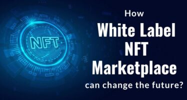 How White label NFT Marketplace can change the future
