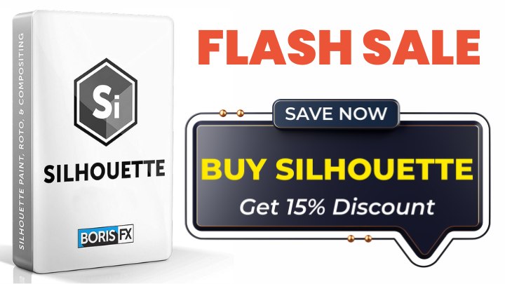 vfx silhouette discount code roto paint