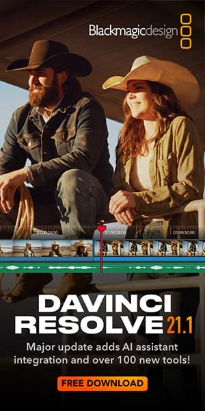 Davinci Resolve - Web Banner - 300x600